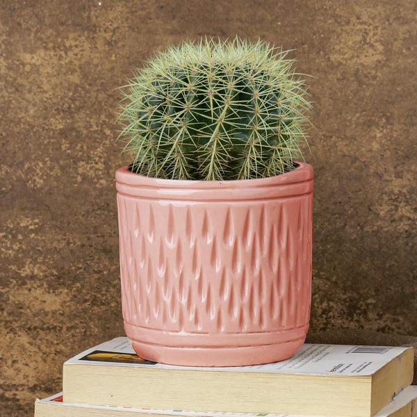 Pink Carved Cylindrical Ceramic Planter - The Earth Store - Planter